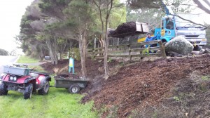 Mulching the roadside in front of our yard at 369 Paremoremo Rd.