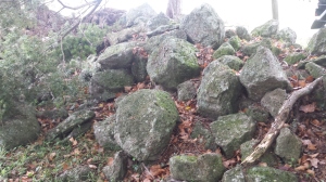 Stone piled under trees.