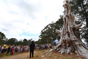 Faraway Tree