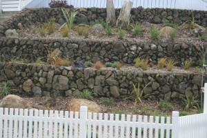 Stone walls and stone boulders in a low maintenance New Zealand themed garden. 